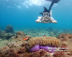 Underwater Odyssey snorkeling excursion Pattaya Thailand photo 11400