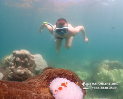 Underwater Odyssey snorkeling excursion Pattaya Thailand photo 19566