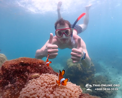 Underwater Odyssey snorkeling excursion in Pattaya Thailand photo 509