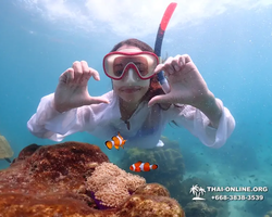 Underwater Odyssey snorkeling excursion in Pattaya Thailand photo 490