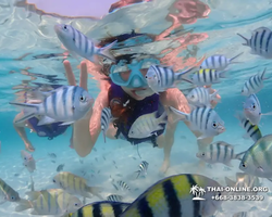 Underwater Odyssey snorkeling excursion in Pattaya Thailand photo 873