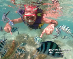 Underwater Odyssey snorkeling excursion Pattaya Thailand photo 19005