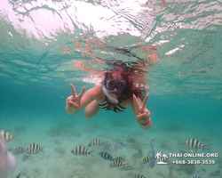 Underwater Odyssey snorkeling excursion in Pattaya Thailand photo 49