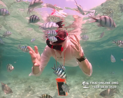 Underwater Odyssey snorkeling tour from Pattaya Thailand photo 18270