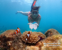 Underwater Odyssey snorkeling excursion in Pattaya Thailand photo 626