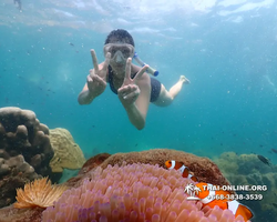 Underwater Odyssey snorkeling tour from Pattaya Thailand photo 18299