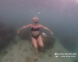 Underwater Odyssey snorkeling excursion in Pattaya Thailand photo 352