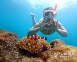 Underwater Odyssey snorkeling excursion in Pattaya Thailand photo 655