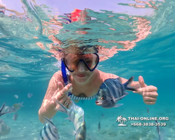Underwater Odyssey snorkeling excursion Pattaya Thailand photo 11014