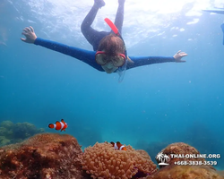 Underwater Odyssey snorkeling excursion in Pattaya Thailand photo 1002