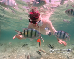 Underwater Odyssey snorkeling tour from Pattaya Thailand photo 18340