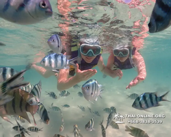 Underwater Odyssey snorkeling excursion Pattaya Thailand photo 19163