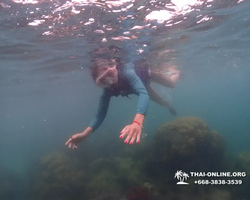 Underwater Odyssey snorkeling excursion in Pattaya Thailand photo 296