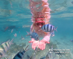 Underwater Odyssey snorkeling tour from Pattaya Thailand photo 14582