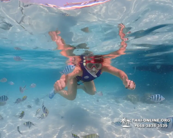 Underwater Odyssey snorkeling excursion in Pattaya Thailand photo 1000