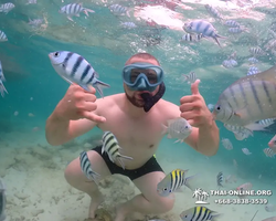 Underwater Odyssey snorkeling excursion in Pattaya Thailand photo 74