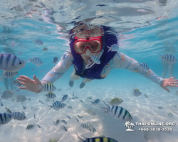 Underwater Odyssey snorkeling excursion in Pattaya Thailand photo 811