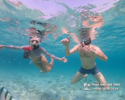 Underwater Odyssey snorkeling excursion Pattaya Thailand photo 11071