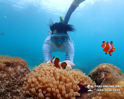 Underwater Odyssey snorkeling excursion in Pattaya Thailand photo 688