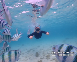 Underwater Odyssey snorkeling excursion Pattaya Thailand photo 11145