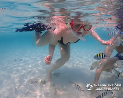 Underwater Odyssey snorkeling excursion in Pattaya Thailand photo 964