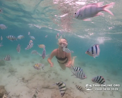 Underwater Odyssey snorkeling excursion in Pattaya Thailand photo 209