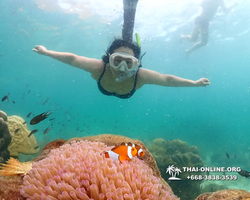 Underwater Odyssey snorkeling tour from Pattaya Thailand photo 18353