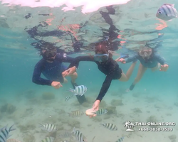 Underwater Odyssey snorkeling excursion in Pattaya Thailand photo 252