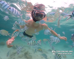 Underwater Odyssey snorkeling excursion in Pattaya Thailand photo 92