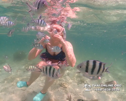 Underwater Odyssey snorkeling tour from Pattaya Thailand photo 18418