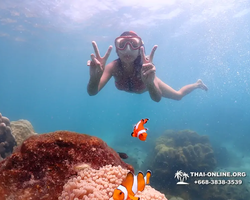 Underwater Odyssey snorkeling excursion in Pattaya Thailand photo 500