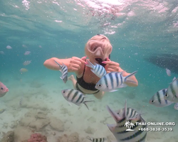 Underwater Odyssey snorkeling excursion in Pattaya Thailand photo 162