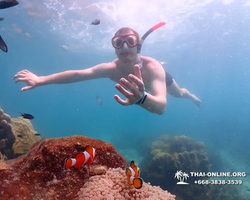 Underwater Odyssey snorkeling excursion in Pattaya Thailand photo 535