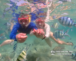 Underwater Odyssey snorkeling excursion Pattaya Thailand photo 14838