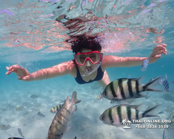 Underwater Odyssey snorkeling excursion in Pattaya Thailand photo 396