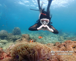 Underwater Odyssey snorkeling excursion Pattaya Thailand photo 11460