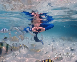 Underwater Odyssey snorkeling excursion in Pattaya Thailand photo 828