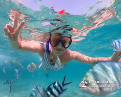 Underwater Odyssey snorkeling excursion Pattaya Thailand photo 11005