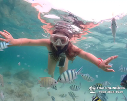 Underwater Odyssey snorkeling excursion in Pattaya Thailand photo 193