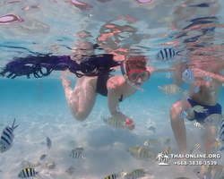 Underwater Odyssey snorkeling excursion in Pattaya Thailand photo 923