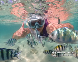 Underwater Odyssey snorkeling excursion Pattaya Thailand photo 19031