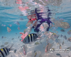 Underwater Odyssey snorkeling excursion in Pattaya Thailand photo 658