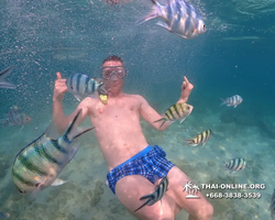 Underwater Odyssey snorkeling excursion Pattaya Thailand photo 11533