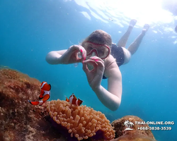 Underwater Odyssey snorkeling excursion in Pattaya Thailand photo 943