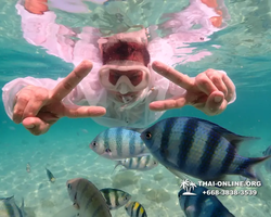 Underwater Odyssey snorkeling tour from Pattaya Thailand photo 14421