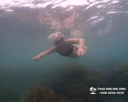 Underwater Odyssey snorkeling excursion in Pattaya Thailand photo 322