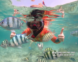 Underwater Odyssey snorkeling excursion Pattaya Thailand photo 14760