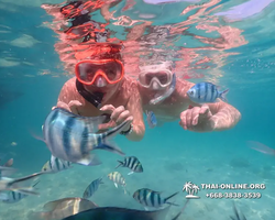 Underwater Odyssey snorkeling tour from Pattaya Thailand photo 14331