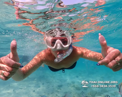 Underwater Odyssey snorkeling excursion Pattaya Thailand photo 10988