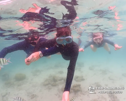 Underwater Odyssey snorkeling excursion in Pattaya Thailand photo 163